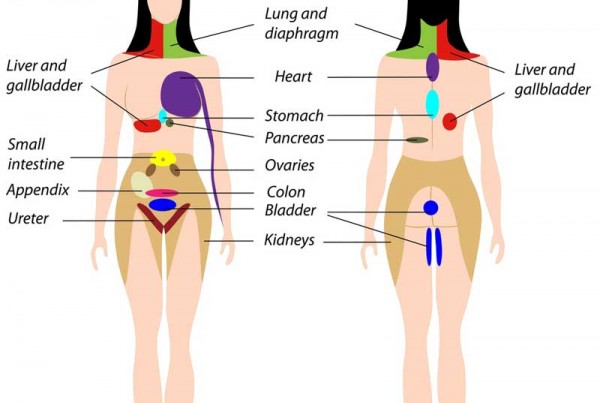 referred-pain