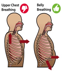 Diaphragmatic breathing is key to having good posture.